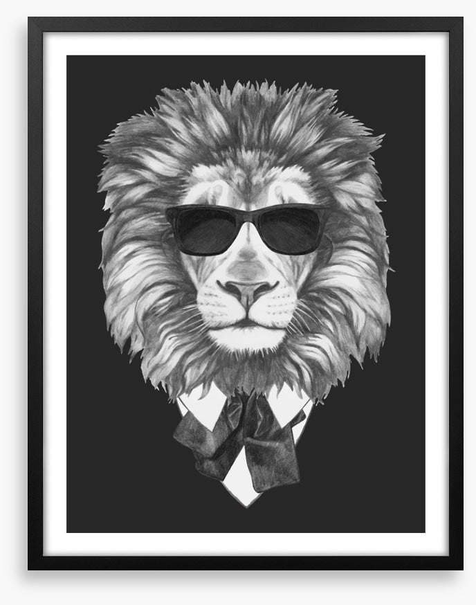 Suave lion