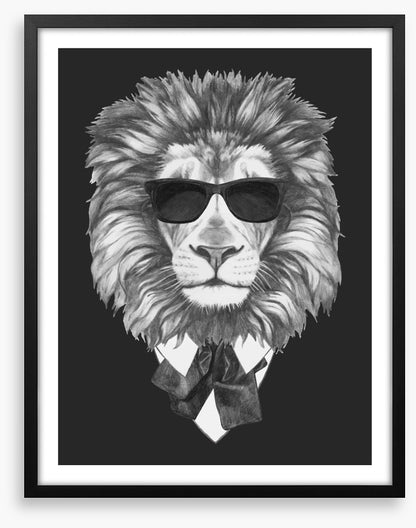 Suave lion