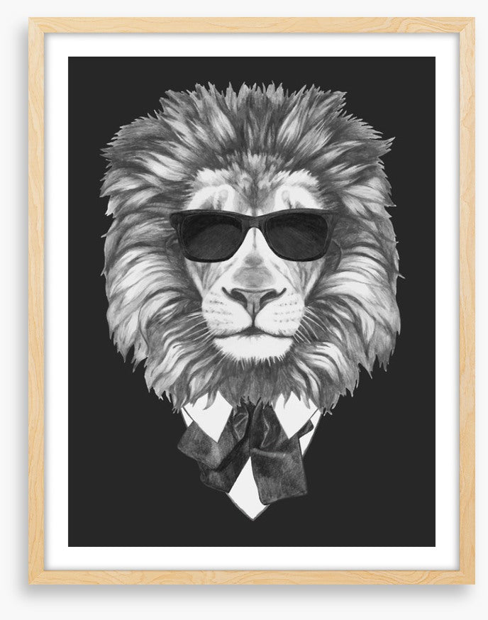Suave lion