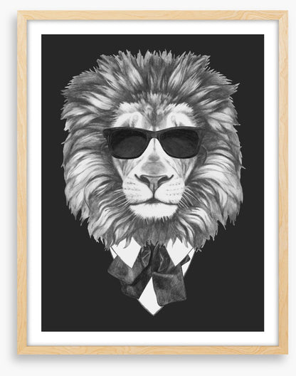 Suave lion