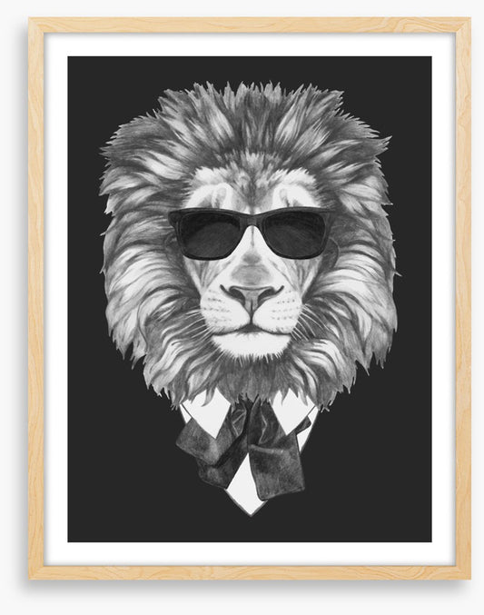 Suave lion