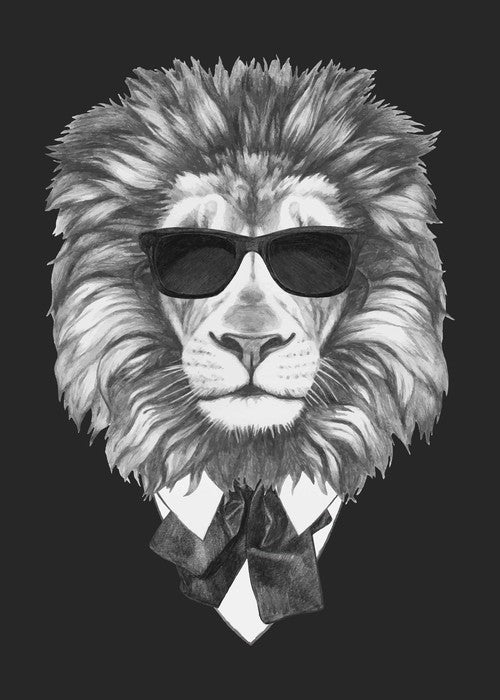 Suave lion