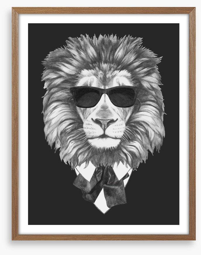 Suave lion