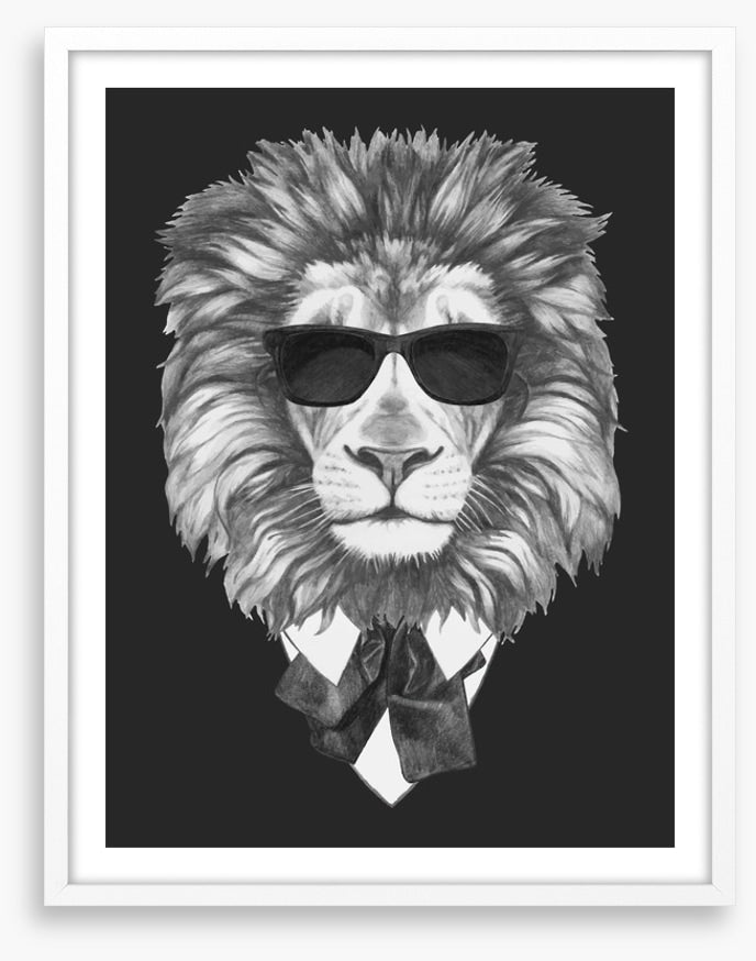 Suave lion