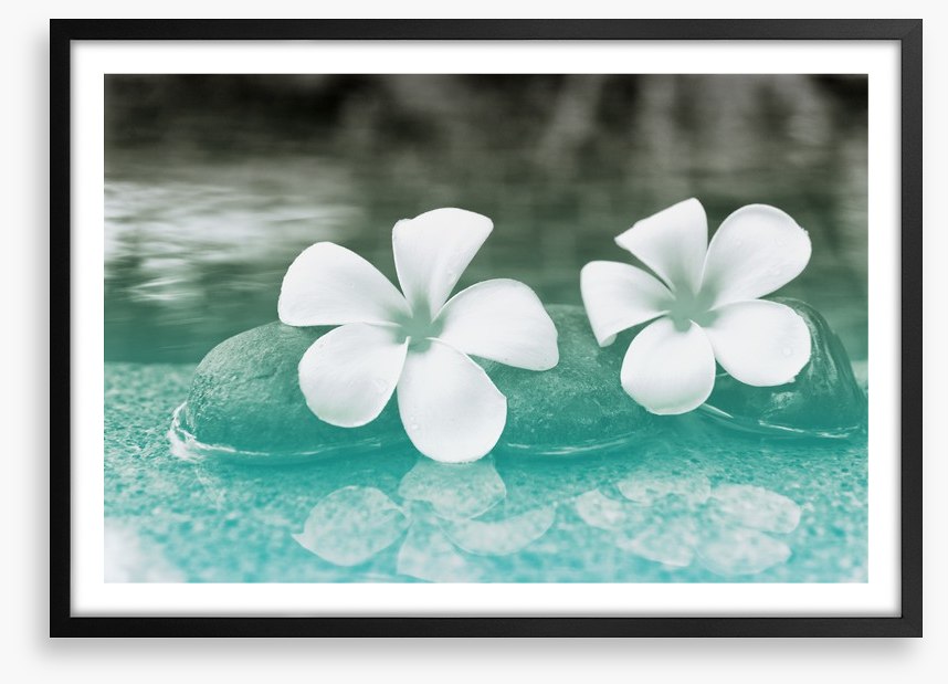 Purity blooms