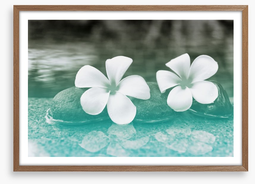 Purity blooms