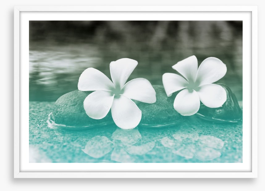 Purity blooms