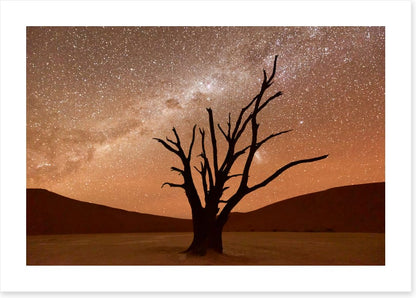Namibian nights