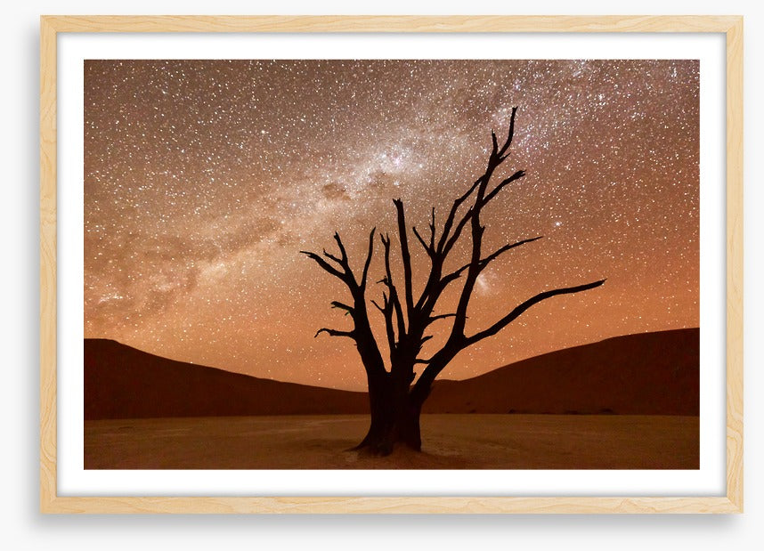 Namibian nights
