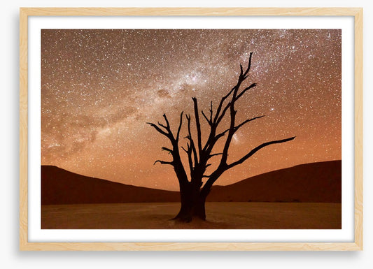 Namibian nights