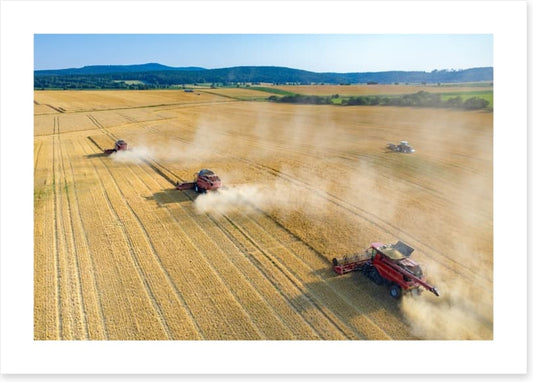 Agriculture