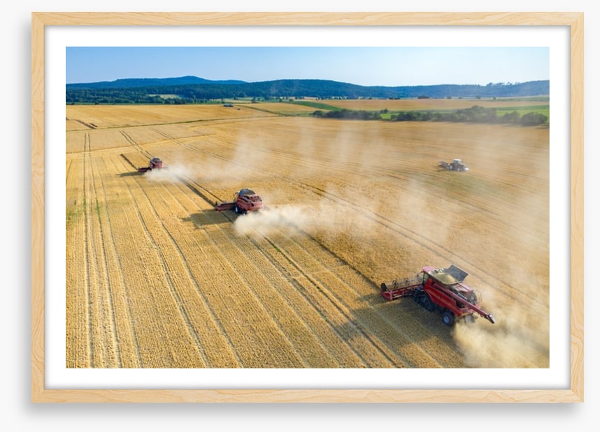 Agriculture