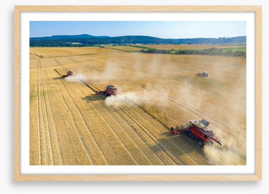 Agriculture