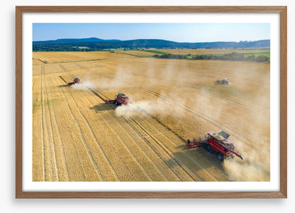 Agriculture