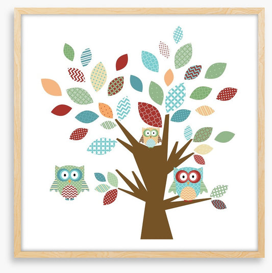 Owls
