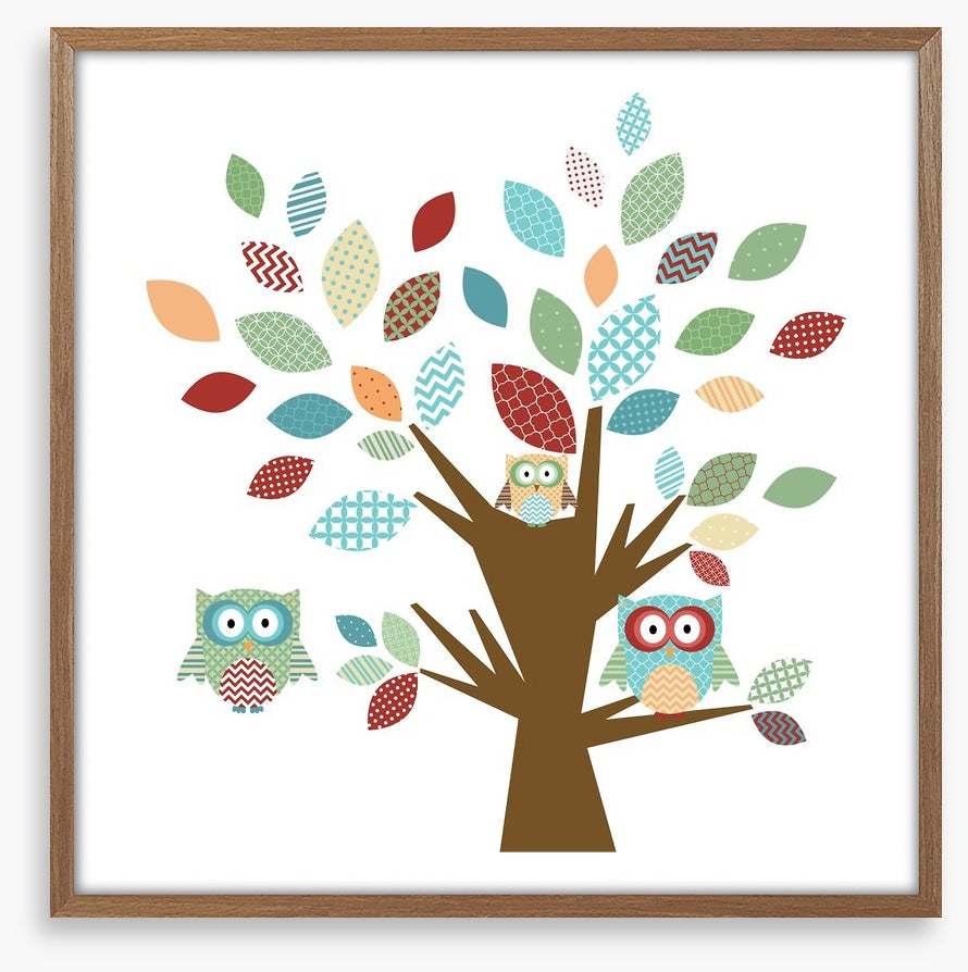 Owls