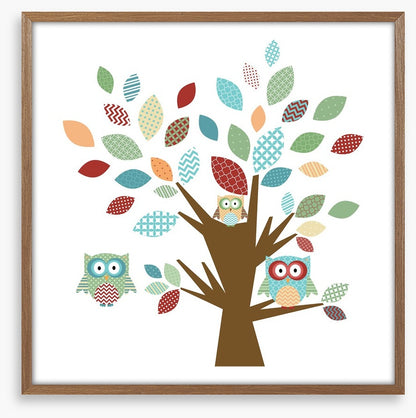 Owls