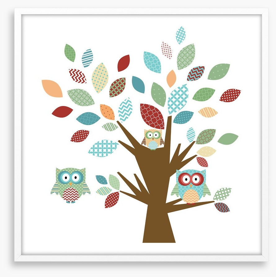 Owls