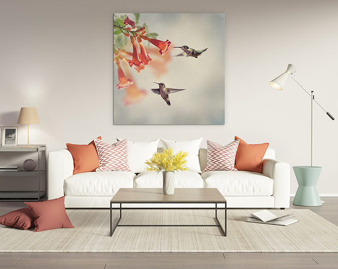 Ruby throated hummingbirds