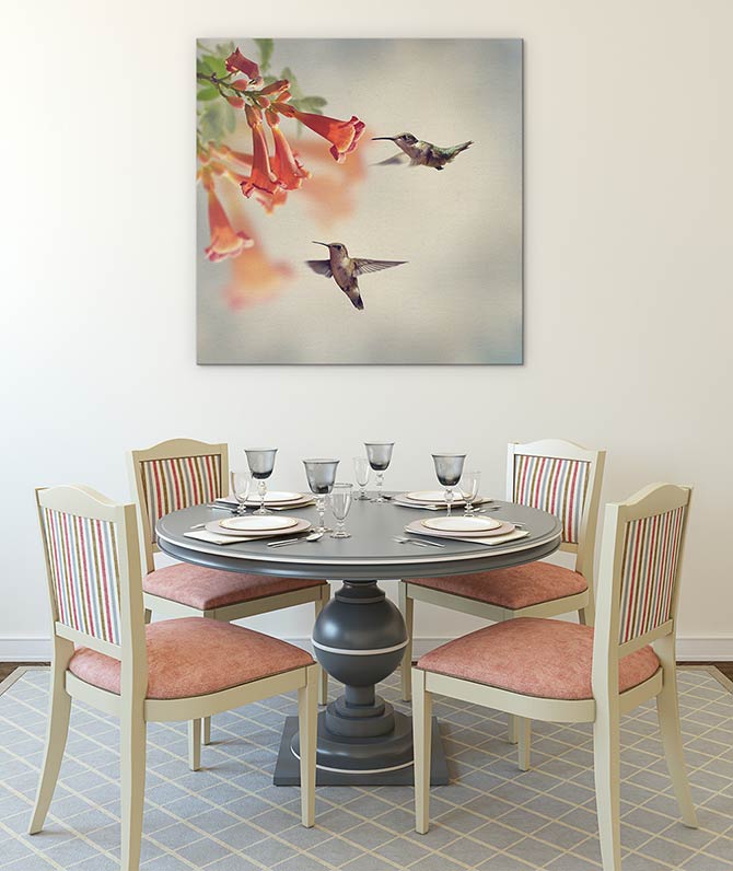 Ruby throated hummingbirds
