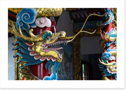 Dragons
