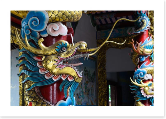 Dragons