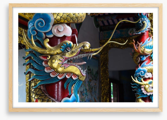 Dragons