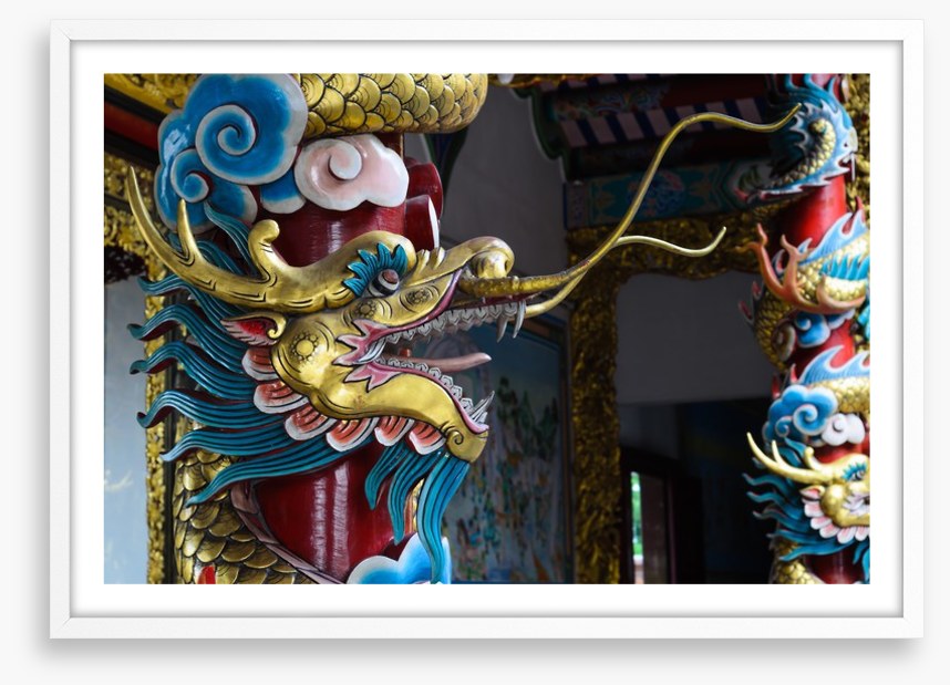 Dragons