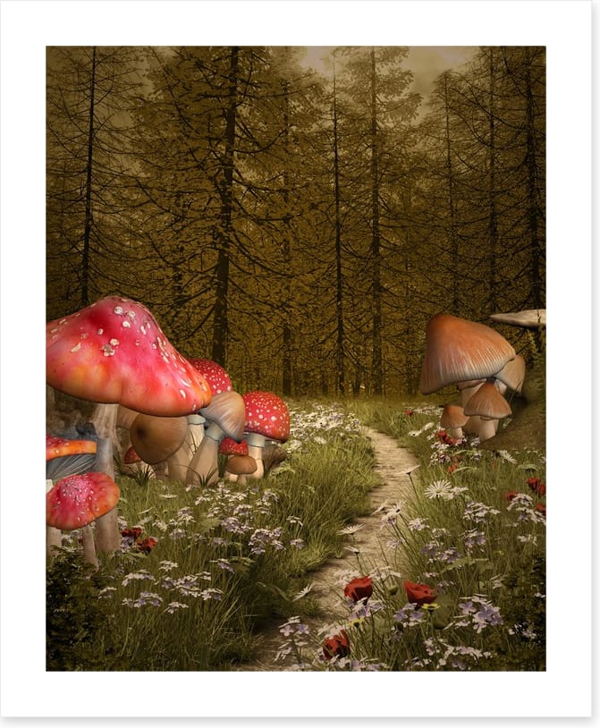 The enchanted path