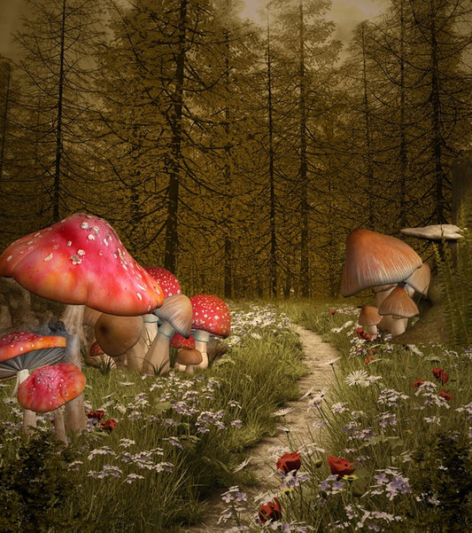 The enchanted path