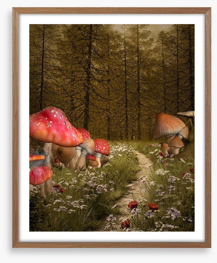 The enchanted path