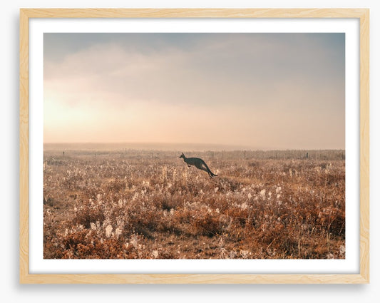 Boundless plains