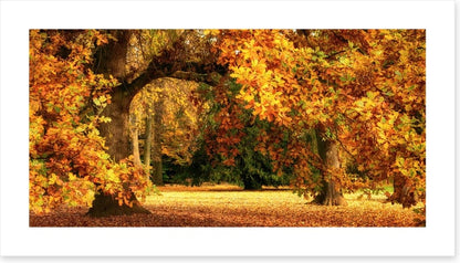 Below the golden bough