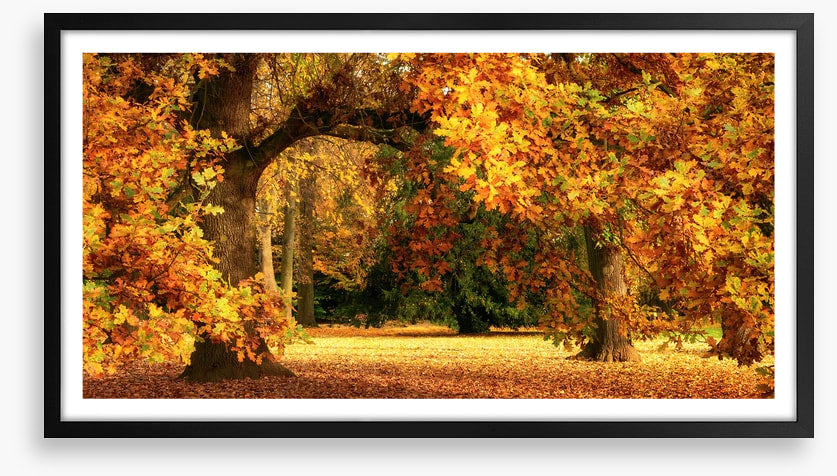 Below the golden bough