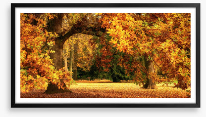 Below the golden bough