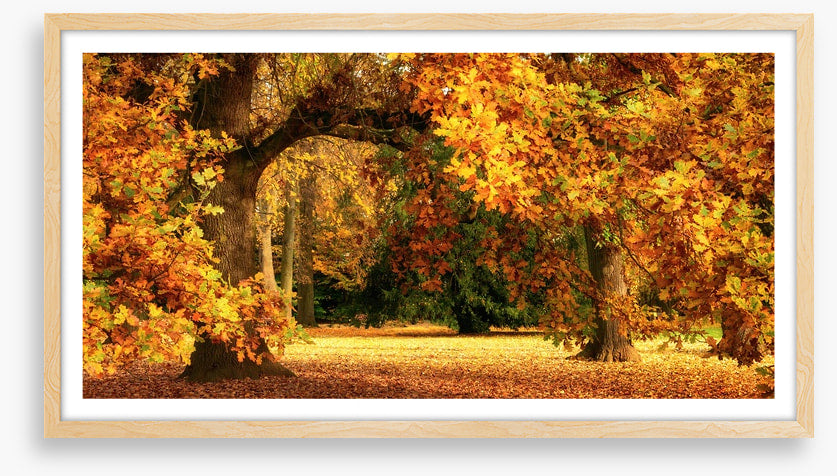 Below the golden bough