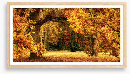 Below the golden bough