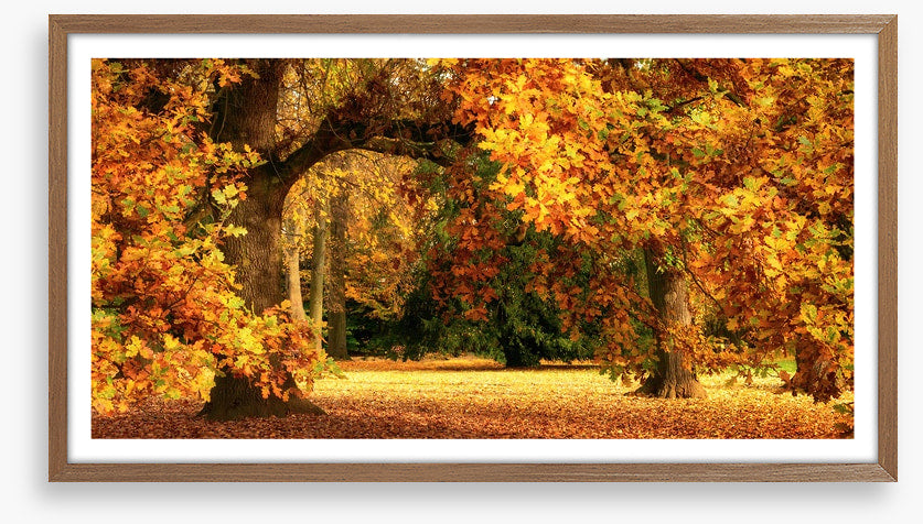 Below the golden bough