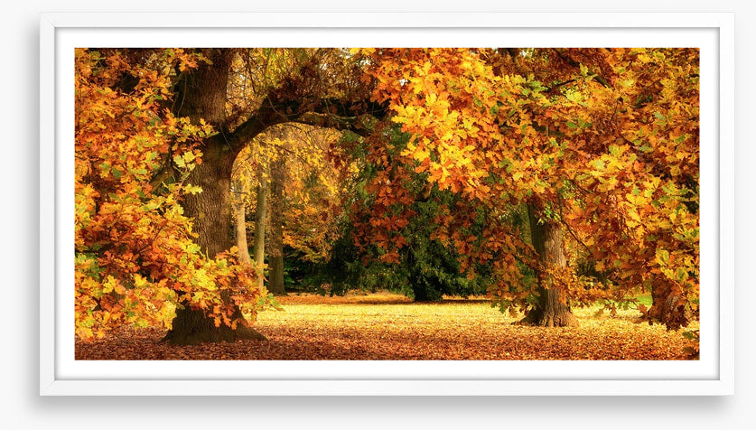 Below the golden bough