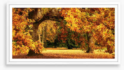 Below the golden bough