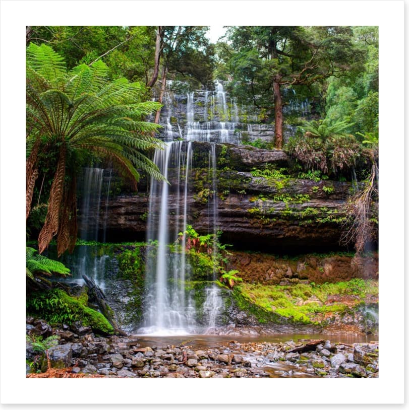 Russell Falls Creek