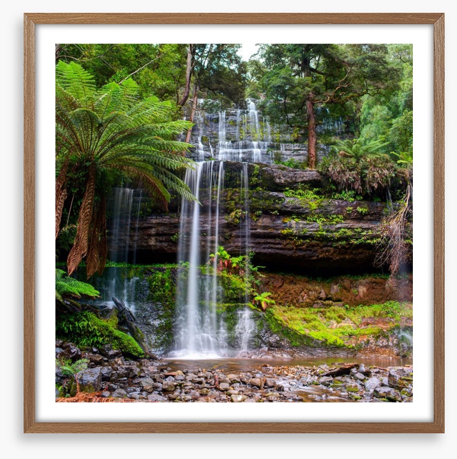 Russell Falls Creek