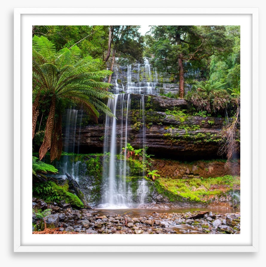 Russell Falls Creek