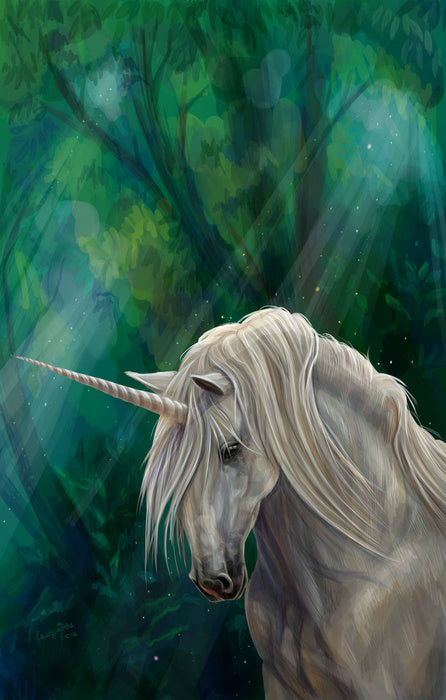 Fantasy