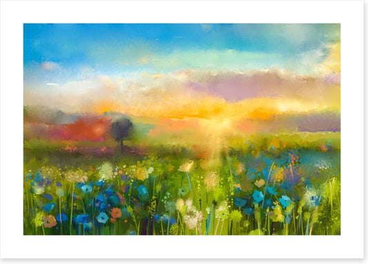 Wildflower meadow at sunset