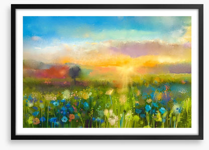 Wildflower meadow at sunset