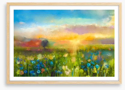 Wildflower meadow at sunset