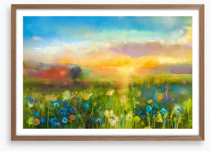 Wildflower meadow at sunset