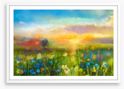 Wildflower meadow at sunset