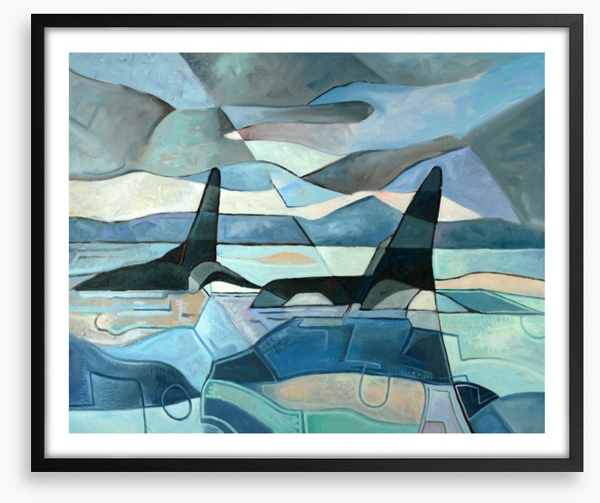 Orcas swimming